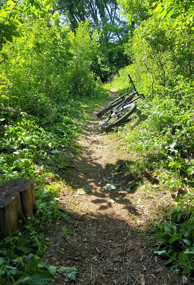 Bacon Creek Mountain Bike Trail